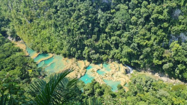 From Flores to Lanquin (Semuc Champey) - Image 2