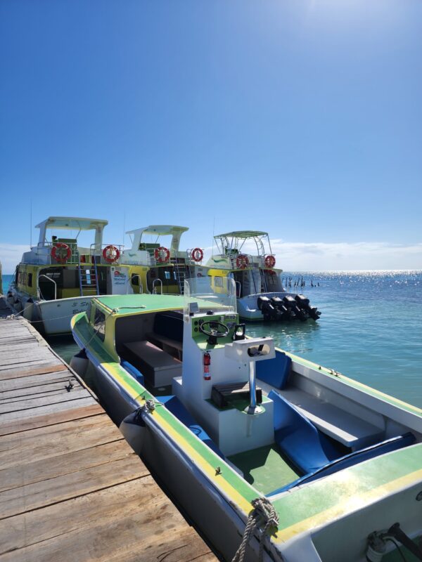 Flores to Belize City +  Caye Caulker (Two ways ferry) - Image 4
